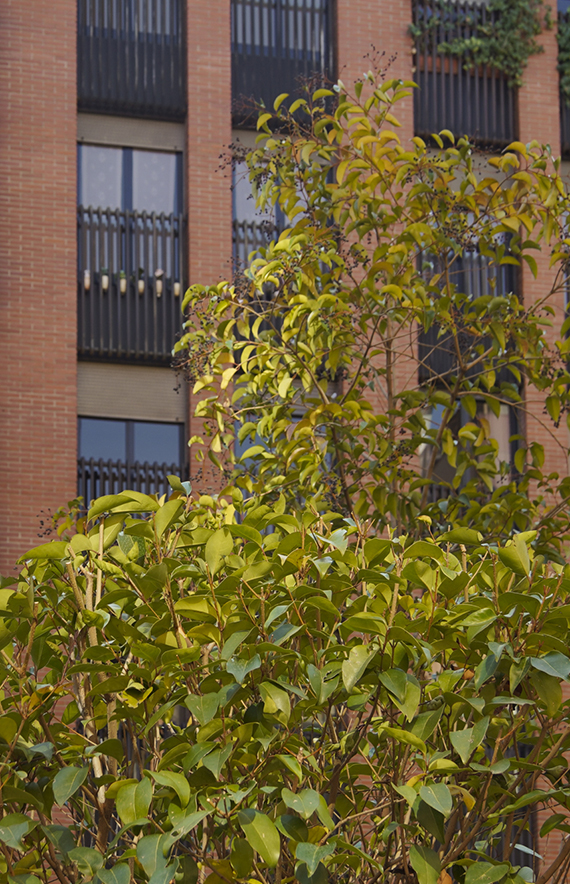 barquillo quince 3 dormitorio