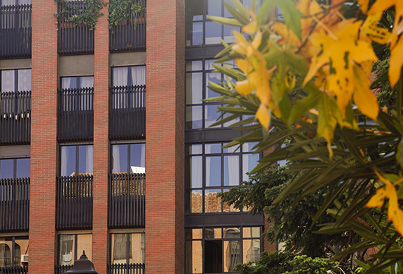 barquillo quince 1 dormitorio